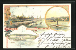 Lithographie Dresden, Blick Von Der Elbe Auf Die Innenstadt, Pillnitz, Dampfer Bei Loschwitz  - Pillnitz