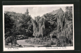 AK Berlin-Neukölln, Park Wildenbruchplatz Mit Grotte  - Neukoelln