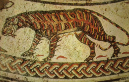 Roman Tigress At Woodchester Church Tiger Pavement Postcard - Otros & Sin Clasificación