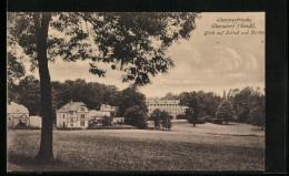 AK Ebersdorf /Reuss, Blick Auf Das Schloss Und Die Kirche  - Ebersdorf