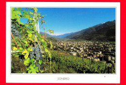 ITALIA - Lombardia - SONDRIO - Panorama - Cartolina Viaggiata Nel 2004 - Sondrio