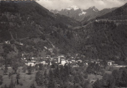 CARTOLINA  VILLA RENDENA TRENTO TRENTO ALTO ADIGE VEDUTA DEL CARE ALTO M. 3461 VIAGGIATA 1953   Y9 - Trento