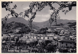 CARTOLINA  PORRETTA TERME BOLOGNA EMILIA ROMAGNA PANORAMA VIAGGIATA 1957   Y9 - Bologna