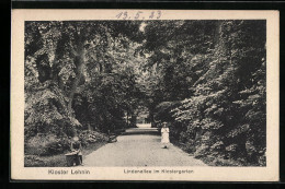 AK Lehnin, Lindenallee Im Klostergarten  - Lehnin