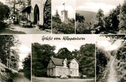 43489661 Rinteln Klippenturm Waldkater  Rinteln - Rinteln