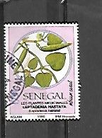 TIMBRE OBLITERE DU SENEGAL  DE  1990 N° MICHEL 1106 - Senegal (1960-...)