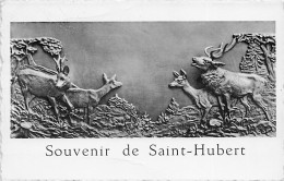 Luxembourg - SAINT HUBERT - Souvenir De Saint Hubert - Saint-Hubert