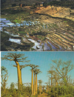 MADAGASCAR - 2 CPSM - Madagaskar