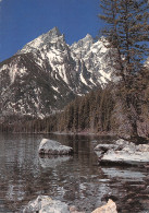 USA WY JENNY LAKE WYOMING - Andere & Zonder Classificatie