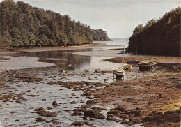 29 CONCARNEAU A LA FORET FOUESNANT - Concarneau