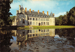 58 LE CHATEAU DU PEZEAU ENVIRONS DE COSNE SUR LOIRE - Autres & Non Classés