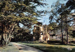 85 LES ESSARTS RUINES DU CHÂTEAU - Les Essarts