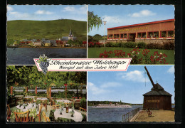 AK Oestrich / Rheingau, Gasthaus Molsberger`s Rheinterrasse Und Weinstube  - Rheingau