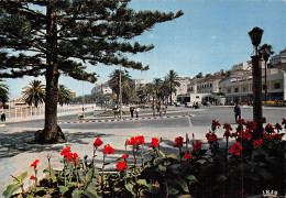 MAROC TANGER AVENUE D Espagne - Tanger