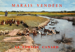 85 VENDEE LA FAMILLE CANARD - Other & Unclassified