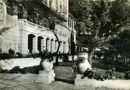 CPSM  MENTON - Etablissement De Cure Armand Bernard Géré Par La C.R.F. - Les Jardins. - Menton