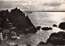 22 ILE DE BREHAT CONTREJOUR AU ROSEDO - Ile De Bréhat