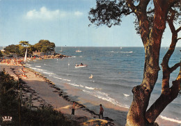 85 L ILE DE NOIRMOUTIER LA POINTE SAINT PIERRE - Ile De Noirmoutier