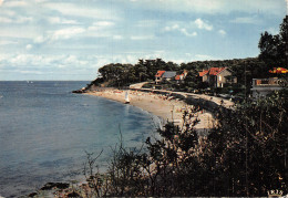 85 L ILE DE NOIRMOUTIER PLAGE DE SOUZEAUX - Ile De Noirmoutier