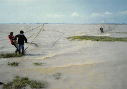 33 LA GIRONDE LA PECHE AUX CREVETTES - Other & Unclassified