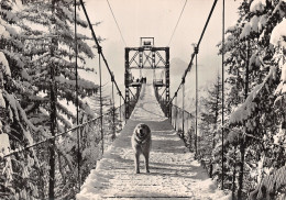 65 BAREGES LE PONT SUSPENDU - Sonstige & Ohne Zuordnung