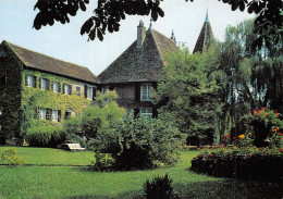 39 ARBOIS LE CHÂTEAU MONTFORT - Arbois