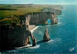 76 - Etretat - Panorama Sur La Ville  La Plage  La Porte D'Aval Et L'Aiguille - Vue Aérienne - Carte Neuve - CPM - Voir  - Etretat