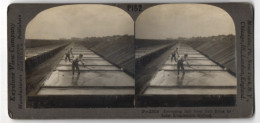 Stereo-Fotografie Keystone View Co., Meadville / PA., Procuring Salt From Salt Brine By Solar Evaporation Method  - Métiers