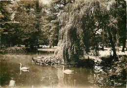 88 - Vittel - Le Parc - Cygnes - CPSM Grand Format - CPM - Voir Scans Recto-Verso - Contrexeville