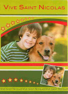 Animaux - Chiens - Golden Retriever - Chiots - Dieppe - Multivues - Automobiles - CPM - Voir Scans Recto-Verso - Chiens