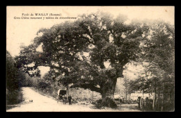 80 - FORET DE WAILLY - GROS CHENE - ARBRE - Sonstige & Ohne Zuordnung