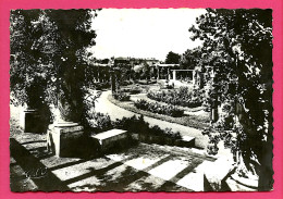 63 - Cpsm - 1955 - CLERMONT-FERRAND - Jardin Des Plantes - La Roseraie - Tb 8f Marianne De Gandon - Clermont Ferrand