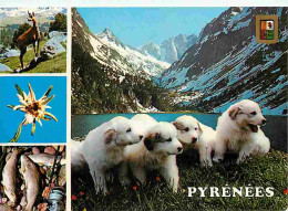 Animaux - Chiens - Chien Des Pyrénées - Multivues - Truites - CPM - Voir Scans Recto-Verso - Chiens