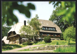 AK Furtwangen / Schwarzwald, Gasthaus-Pension Zur Birke, Hinterschützenbach 15  - Furtwangen