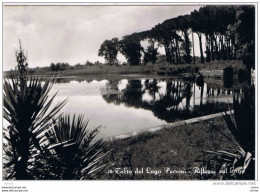 TORRE  DEL  LAGO  PUCCINI:  RIFLESSI  SUL  LAGO  -  FOTO  -  FG - Lucca