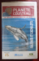 VHS Planète Cousteau : Baleines Et Cachalots - Documentaires