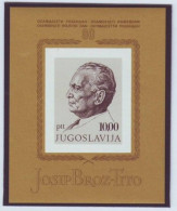 YUGOSLAVIA 1468,block 17,unused - Sonstige & Ohne Zuordnung