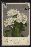 Fleurs - Roses Blanches - 1909 - Fleurs