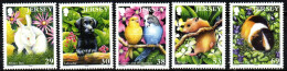 Jersey 2003 - Mi.Nr. 1099 - 1103 - Postfrisch MNH - Tiere Animals - Altri & Non Classificati