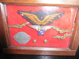 Ensemble Plaque Militaire (Tunis) Boutons, Insignes - Divise