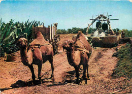 Animaux - Camélidés - Tunisie - Sud Tunisien - Un Puits - CPM - Voir Scans Recto-Verso - Autres & Non Classés