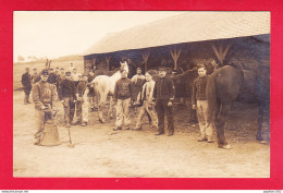 Milit-449Ph54  Carte Photo, Groupe De Militaires Près D'une écurie, N° De Col 43, Cpa BE - Autres & Non Classés