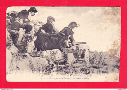 F-65-Pyrenees-33Ph87  Les Chasseurs D'izards, Animation, Cpa  - Other & Unclassified