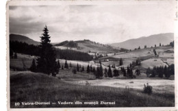 Romania - Suceava - Vatra Dornei - Rumania