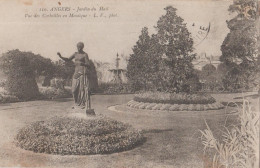 France - Angers - Jardin Du Mail - Vue Des Corbeilles En Mosaique - Autres & Non Classés