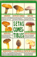 SPAIN POCKET CALENDAR - YEAR 2008 - SETAS, MUSHROOMS - Small : 2001-...