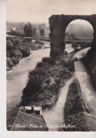 NARNI  TERNI PONTE DI AUGUSTO SUL NERA  VG 1953 - Terni