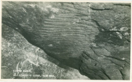 Hastings; St. Clements Caves - Not Circulated. (Gifford Series) - Hastings