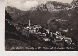 FARNOCCHIA FRAZIONE DI STAZZEMA LUCCA  ALPI APUANE VEDUTA DEL M. PROCINTO E NONA VG - Lucca