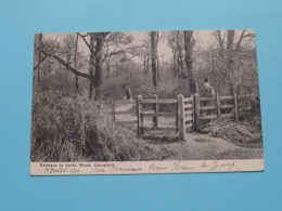 CHINGFORD Entrance To Larks Wood ( Edit.: ? ) Anno 1906 ( Zie / Voir SCANS ) ! - London Suburbs